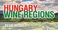Wine history and Hungarian Wine Regions