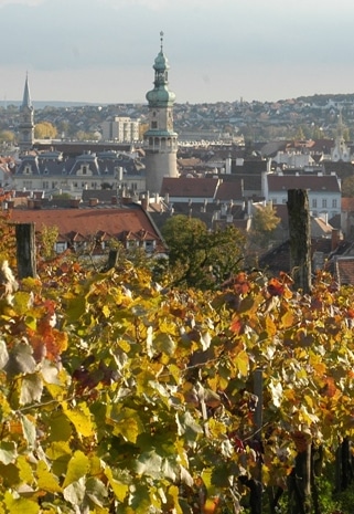 wine-region-sopron