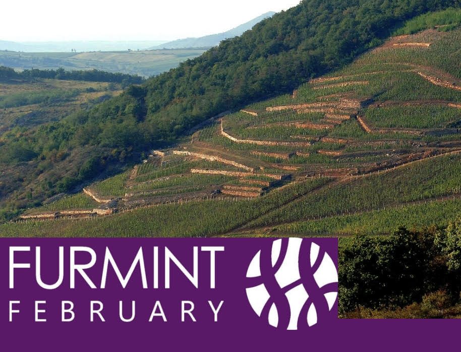 Furmint February