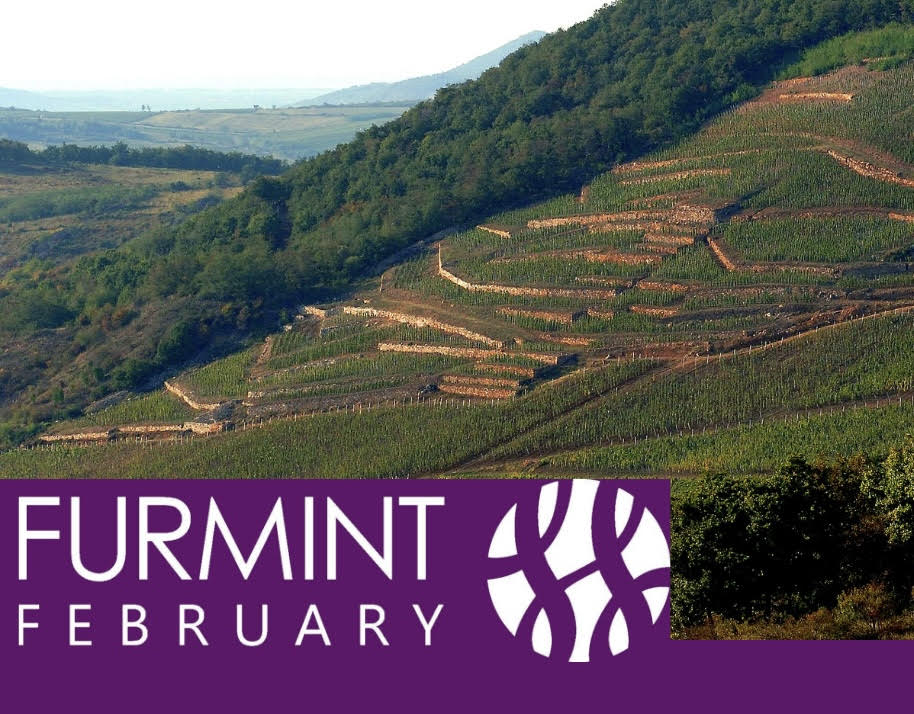 Furmint February