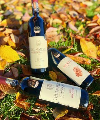 Buy Top Quality Bor Forras Pieroth | Hungarian Wine House
